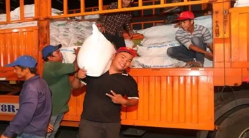 حافلات مليئة بالحب تُغير وجه النقل في المدينة